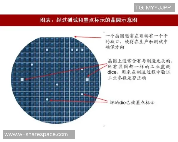 成都乒乓球队的控制策略与训练方法深度解读与分析 成都乒乓球队的控制策略与训练方法深度解读与分析