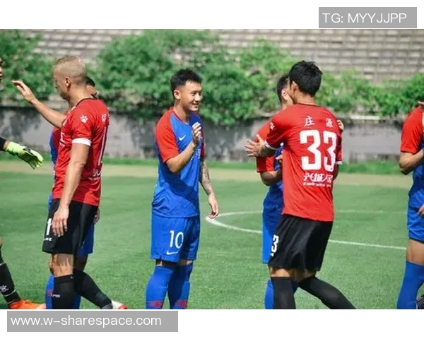 南京足球队与重庆足球队赛后分析力量对比与战术总结