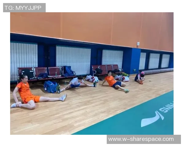 南京羽毛球队与武汉羽毛球队赛后状态分析与复盘总结