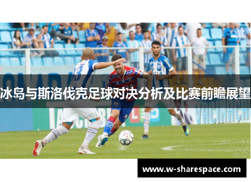 冰岛与斯洛伐克足球对决分析及比赛前瞻展望